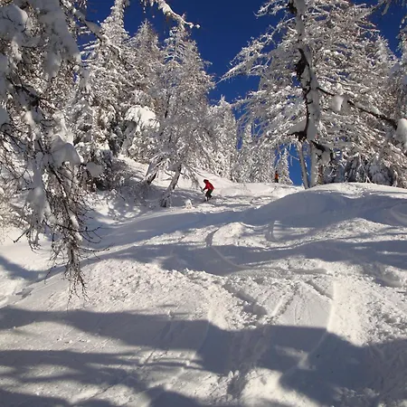 Appartement Geistlinger