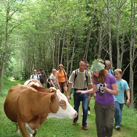 Apartmán Geistlinger Flachau