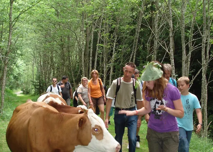 公寓 格斯特因各公寓 弗拉绍